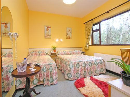 Guest house 19th Fossa